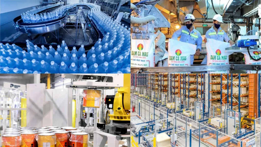 Giải Pháp Palletizing – Giải Pháp Tự Động Hóa Hiệu Quả Cho Doanh Nghiệp Sản Xuất 11 Một số lĩnh vực ứng dụng điển hình sử dụng giải pháp palletizing