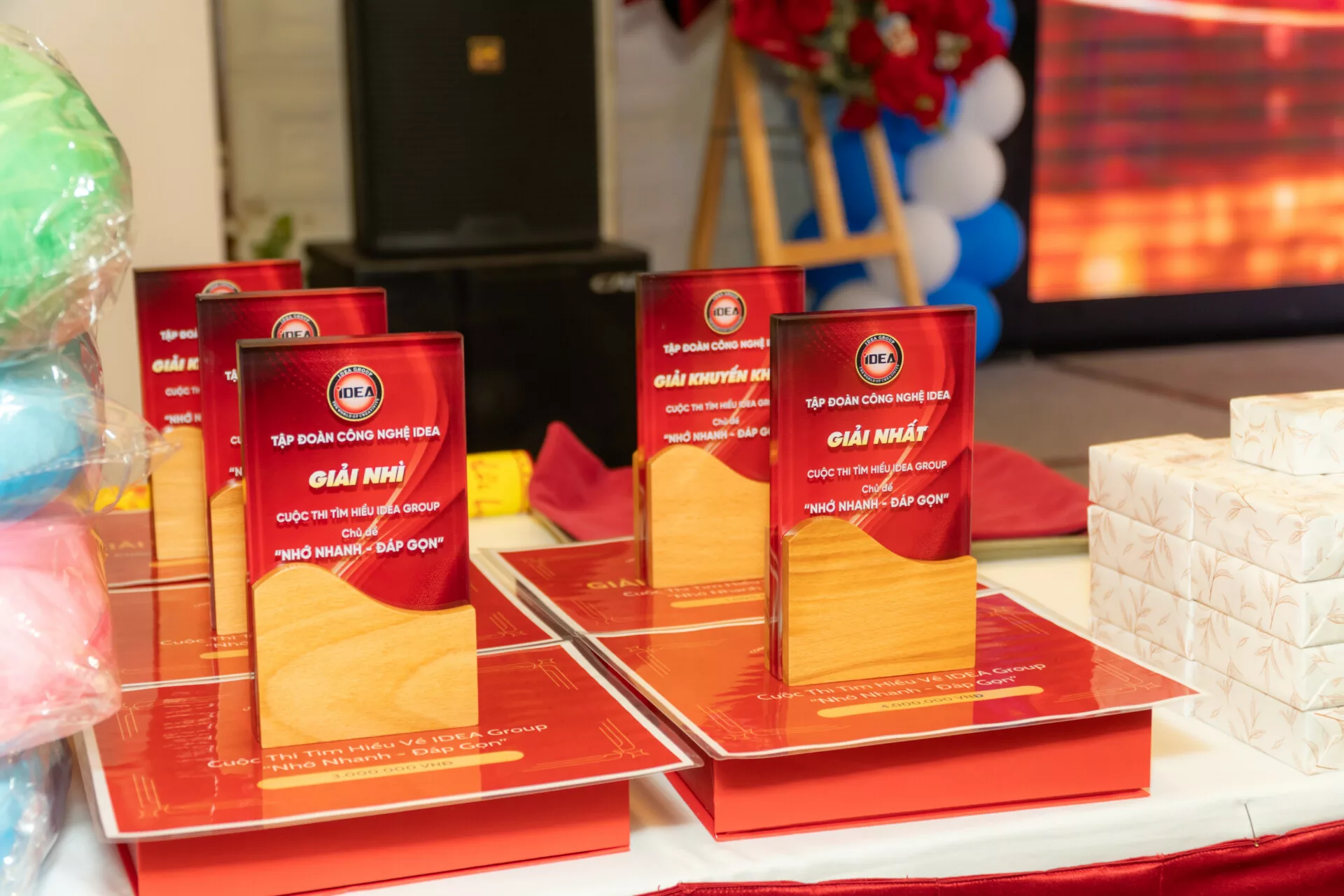 VTV05 IDEA GALA DU501233