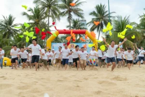 VTV05 IDEA TEAM DU501080